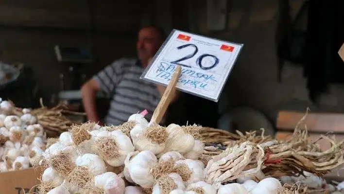 Taşköprü sarımsağında hasat sona erdi