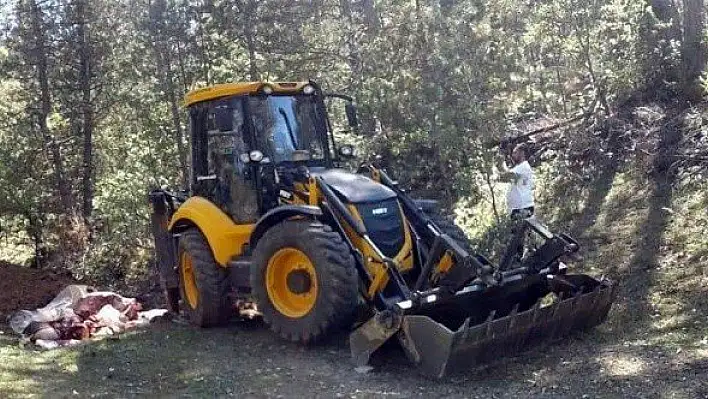 Aldıkları kurbanlık tüberküloz çıktı