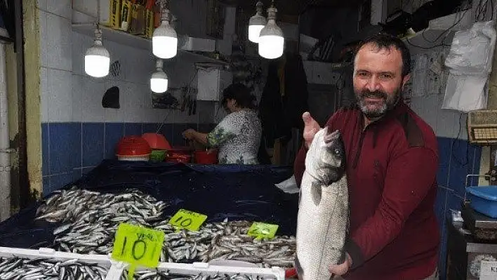 İnebolu'da 6 kilogramlık levrek balığı yakalandı