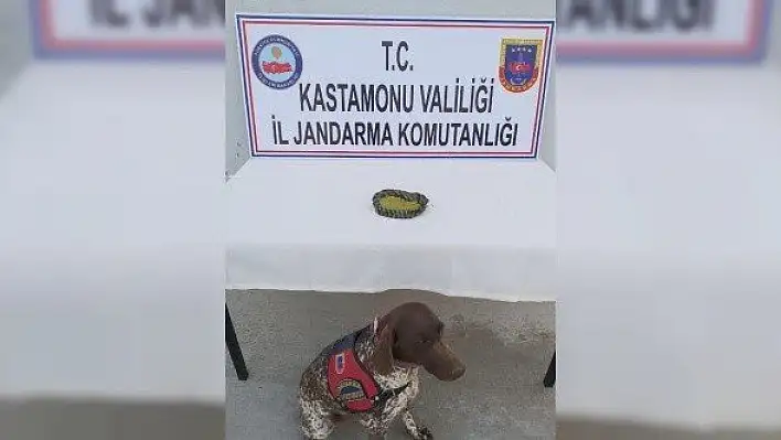 Kastamonu'da toz esrar ele geçirildi