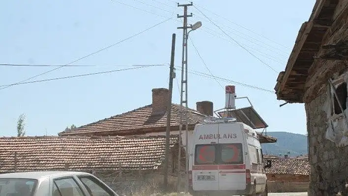 Tosya'da cevizden düşen kişi yaralandı