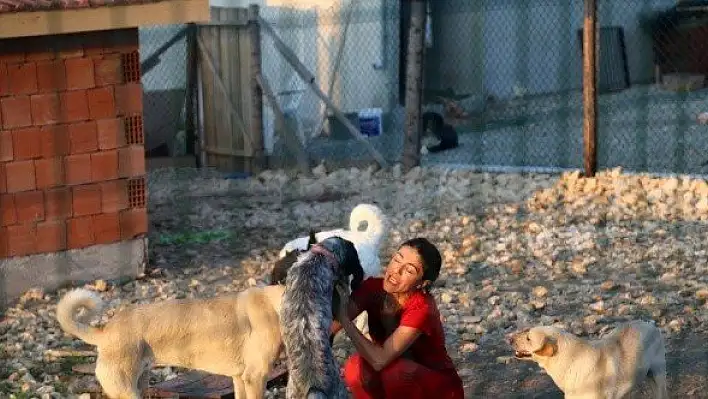 Köpeklerin mutlu olduğu köy