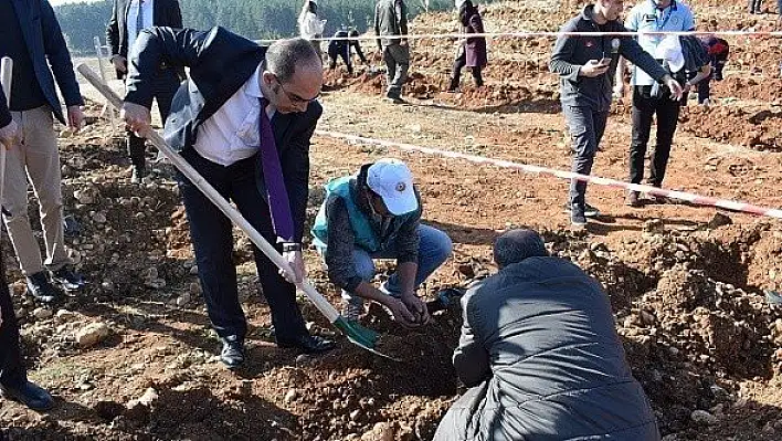 Kastamonu Adliyesinden ağaç dikim dağıtım etkinliği