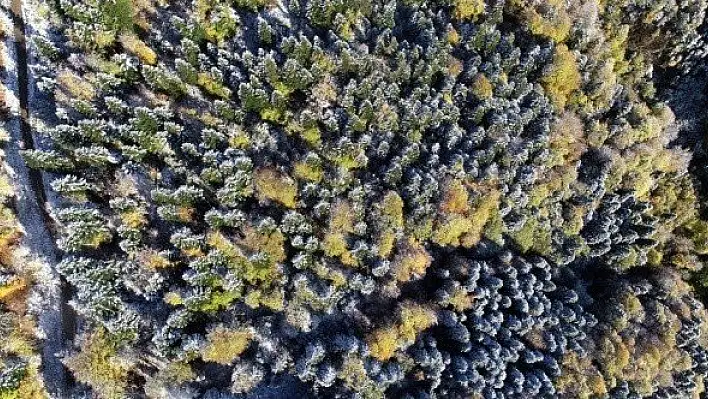 Kastamonu'da sonbaharın renk cümbüşü