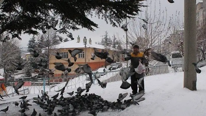 Tosyalı esnaflar kuşlara yem bıraktı