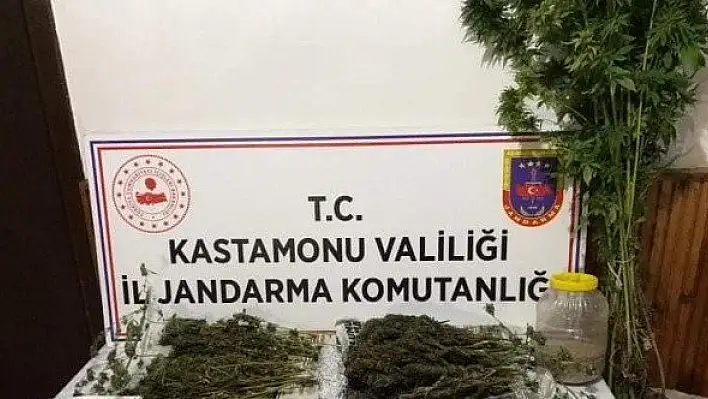 Kastamonu'da uyuşturucu operasyonu: 1 gözaltı