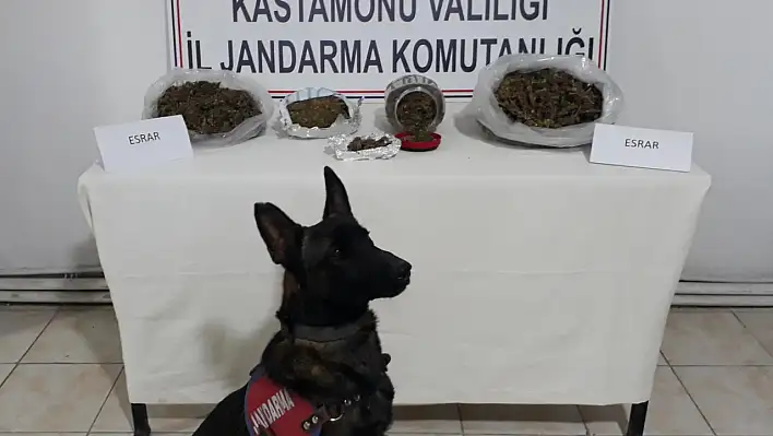 3 kilo 51 gram esrar ele geçirildi! Şüpheli tutuklandı