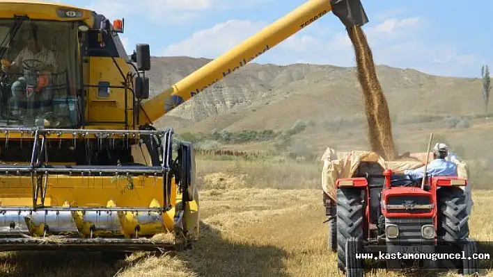 40 Derece Sıcakta Buğday Hasadı