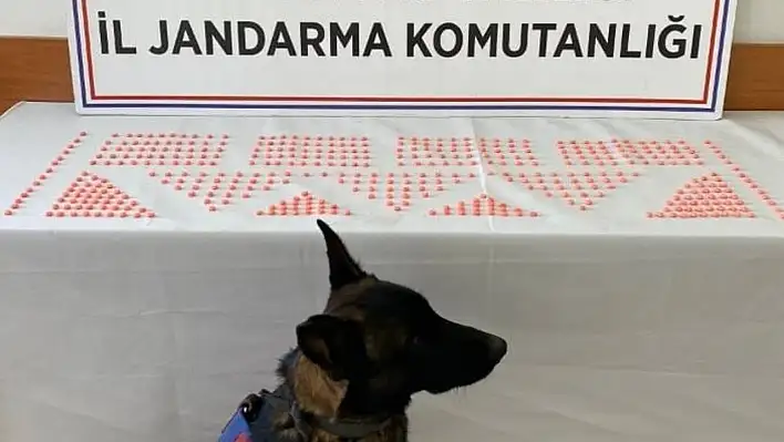 450 uyuşturucu hapla yakalandı! 1 tutuklama