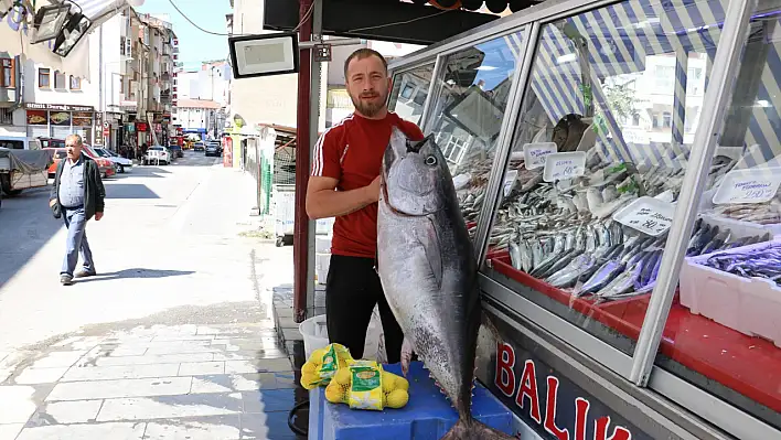 50 kilogramlık orkinos