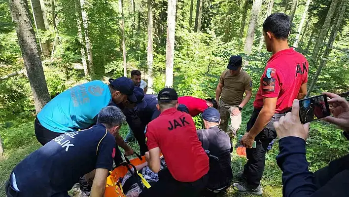 9 gündür kayıptı! Ormanda bulundu