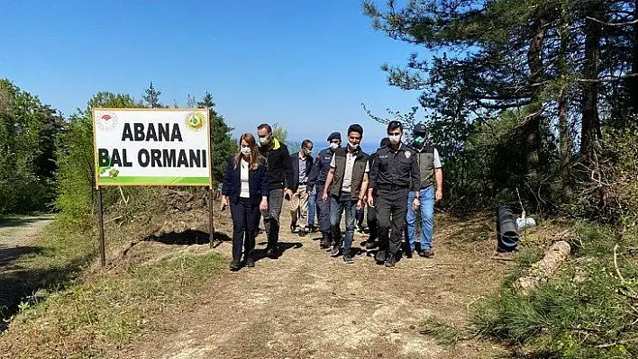 Abana'da bal ormanı kuruldu