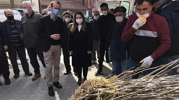 Abana'da vatandaşlara bin 500 meyve fidanı dağıtıldı