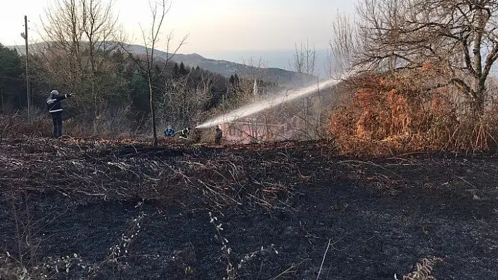 Abana'daki örtü yangını söndürüldü