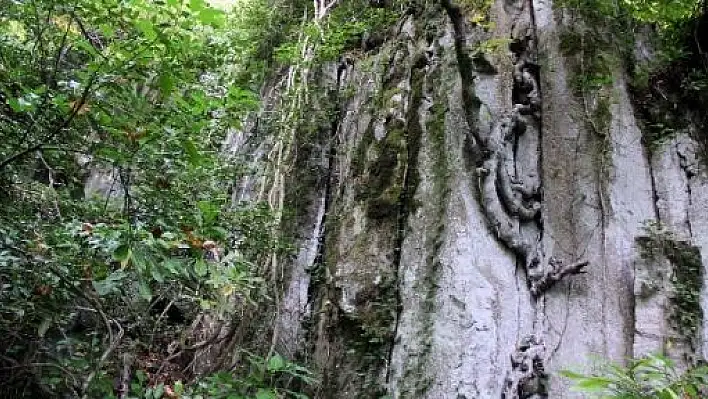 Aktaş: 'Lav Sütunları Turizme Kazandırılsın'