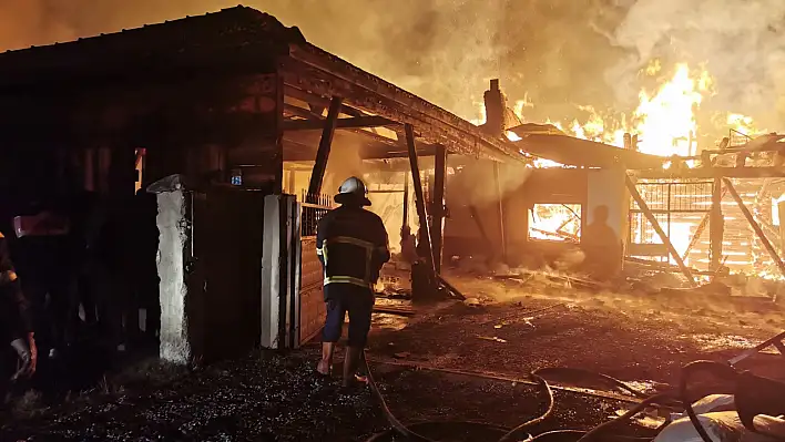 Alpı köyü yangınında ayrıntılar belli oldu