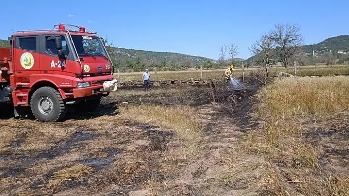 Araç'ta çıkan yangında tarım arazisi zarar gördü