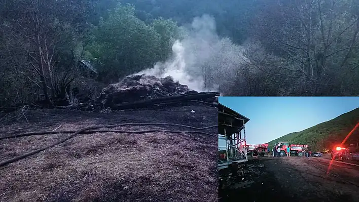 Araç'ta yangın! Samanlık ve baraka yandı