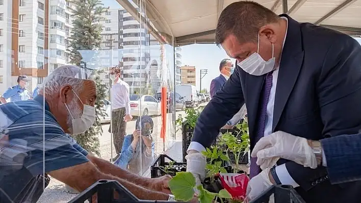 Atalık tohum fide dağıtımı devam ediyor