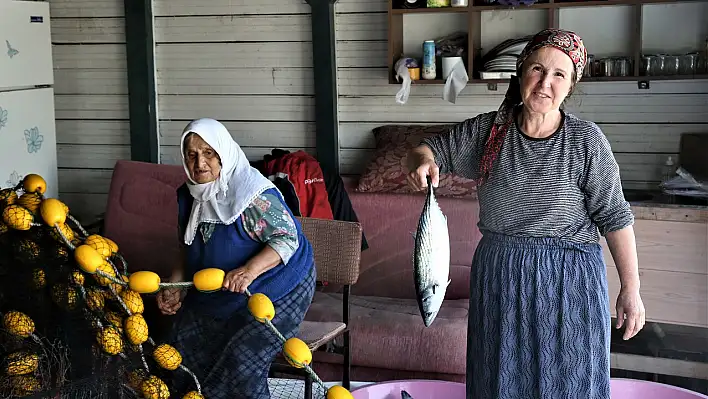 Balıkçıların ağlarına bol palamut takılıyor