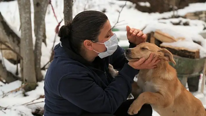 Başını plastik boruya sıkıştıran köpeği vatandaşlar kurtardı