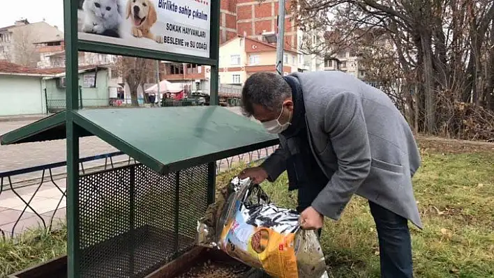 Başkan Çatal, sokak hayvanlarını besledi