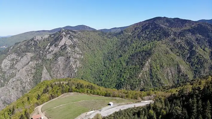 Kastamonu Yaylaları, turizm sezonuna hazırlanıyor