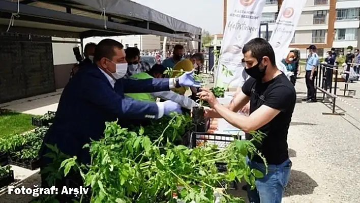 Belediye 60 bin fide dağıtacak