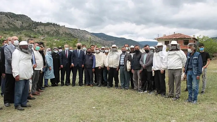 Bilinçli arıcılar Tosya'da yetişecek