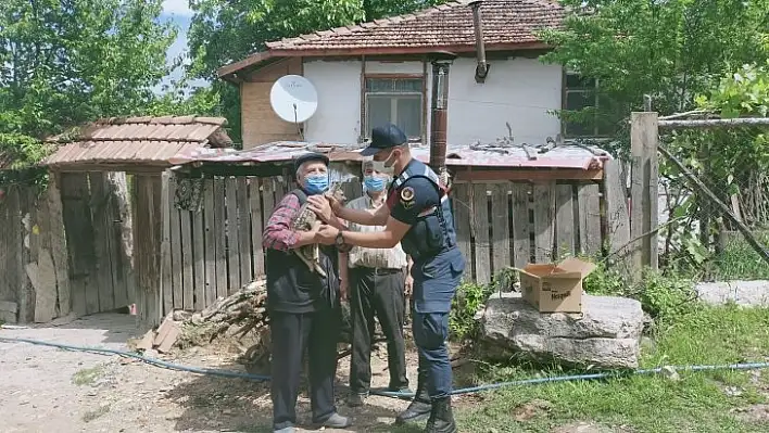 Bitkin halde bulunan karaca yavrusu koruma altına alındı