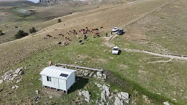 Bu evler çobanlığı cazip hale getiriyor