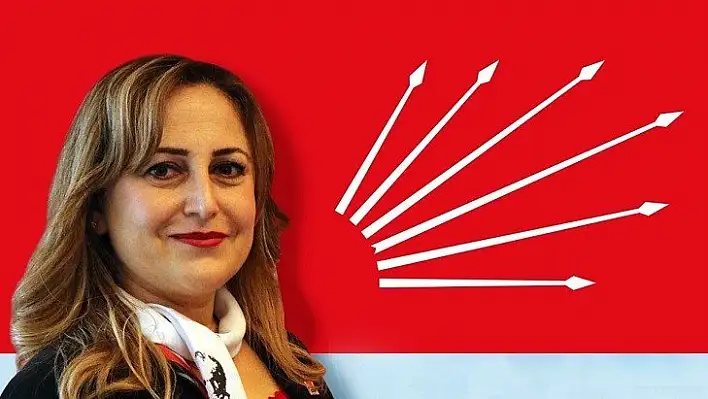 'Bu organize işler, gerçek gündemi karartmak için yapılıyor'