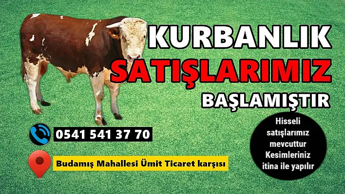 Budamış'ta kurbanlık satışları başladı