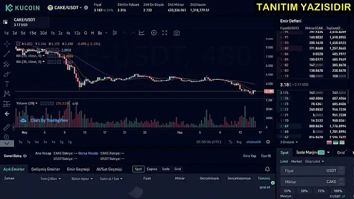 CAKE Coin Geleceği 2022-2024 CAKE Coin Yorum