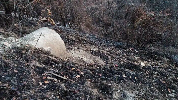 Çatalzeytin'deki yangın kontrol altına alındı