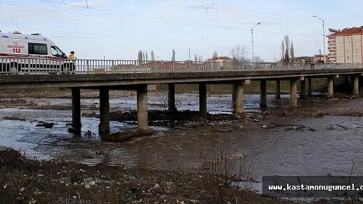 Çaya Atlayan Yaşlı Kadın, Kayboldu