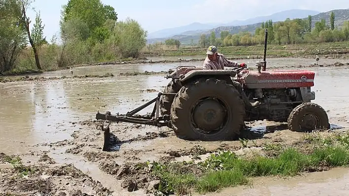 Çeltik üreticilerinin ekim mesaisi başladı