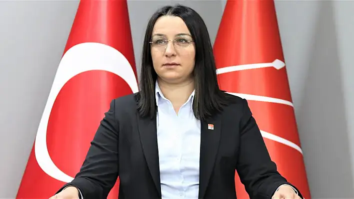 CHP'nin Kastamonu adayı açıklandı