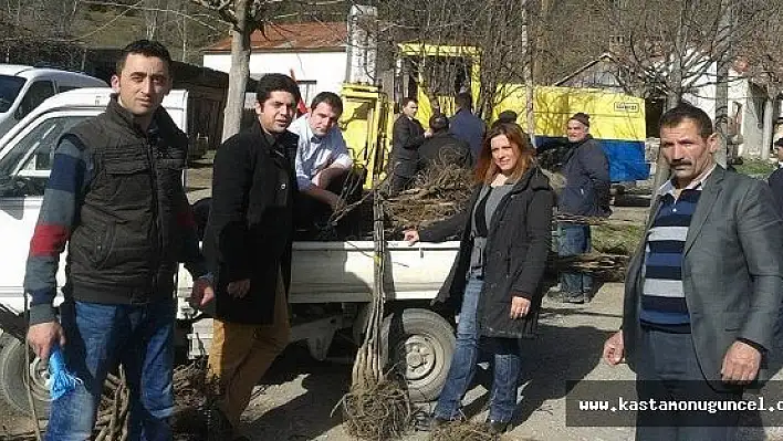 Çiftçilere Ceviz Fidanı Dağıtıldı