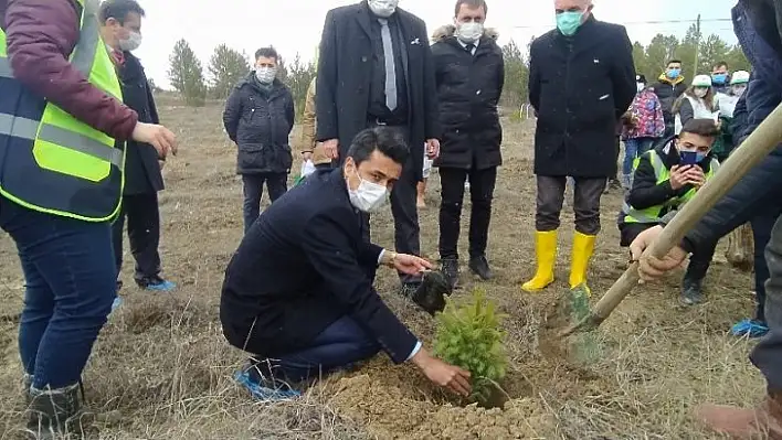 Daday'da 200 üryani eriği toprakla buluştu