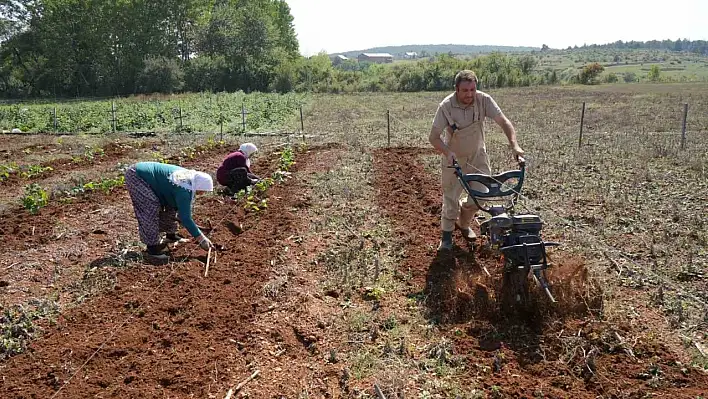 Böğürtlen dikti, siparişlere yetişemiyor