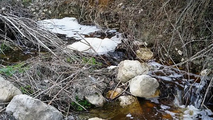 Derenin suyu kahverengi ve köpüklü akıyor