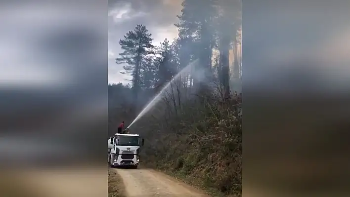 Doğanyurt'ta orman yangını