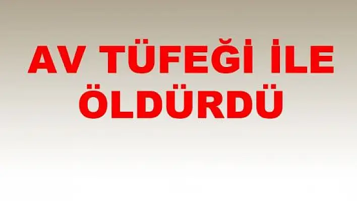 Doğanyurt'ta Silahlı Kavga: 1 Ölü 