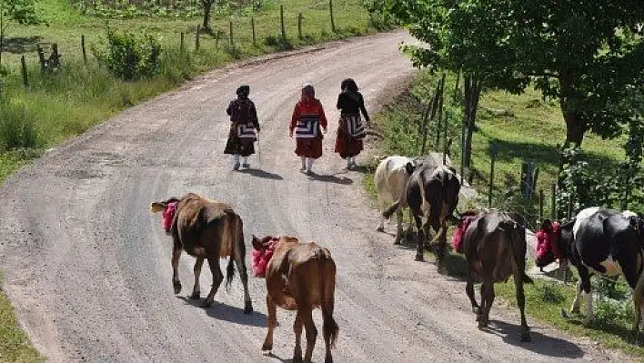 Doğu Karadeniz'de yayla göçleri başladı