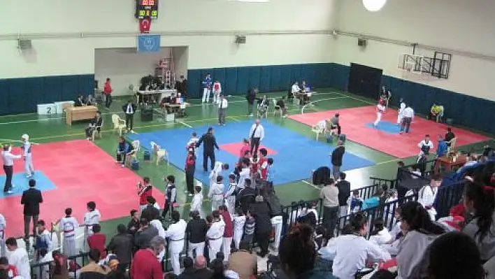 Düzce Batı Karadeniz Ligi Taekwondo Şampiyonası Yapıldı