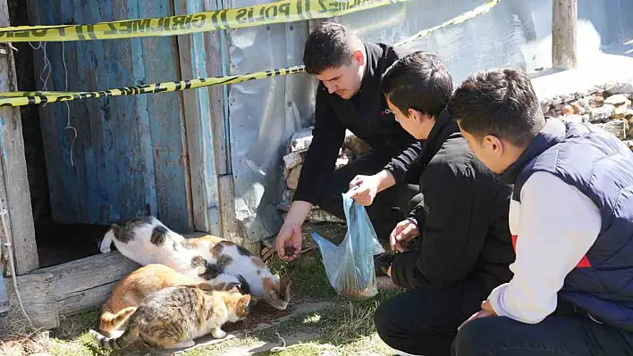 Evinde baygın halde bulundu, 36 kedisi sahipsiz kaldı