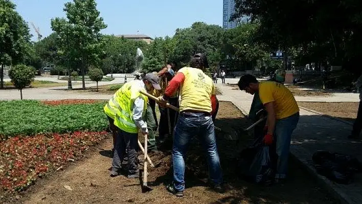 Gezi Parkı'na yeşil takviyesi