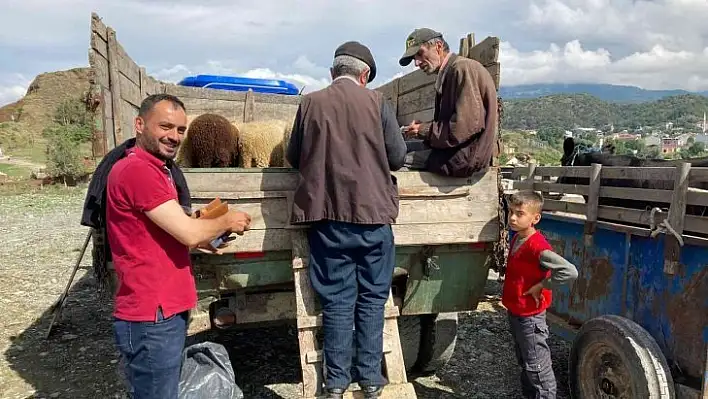 Hanönü'de kurbanlık hayvan pazarı açıldı