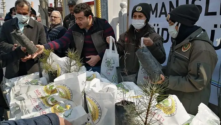 Hanönü'de ücretsiz fidan dağıtıldı